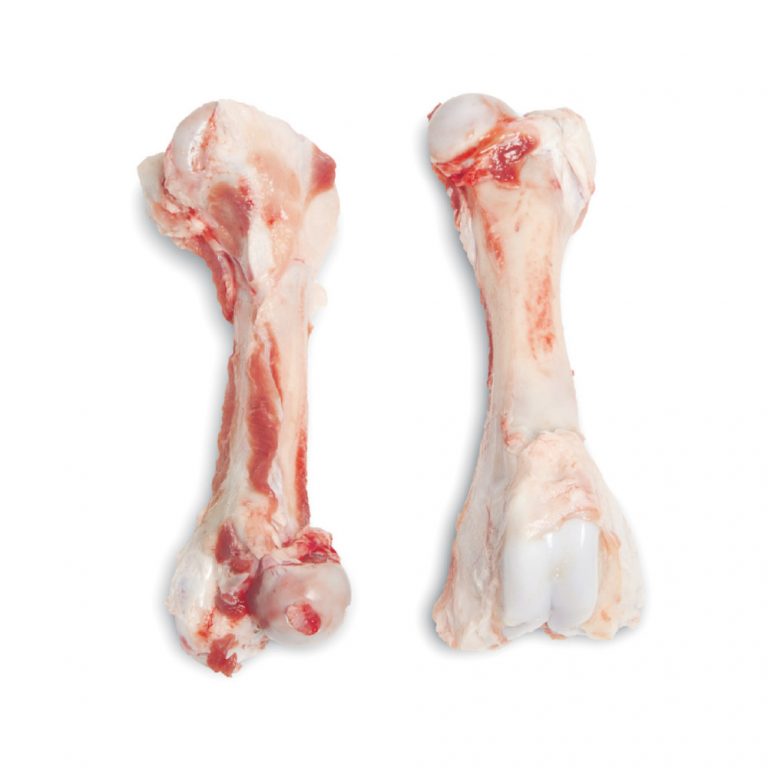 Pork femur bones – Optimeat